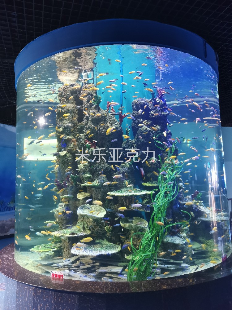 <b>亞克力魚缸：為何是養(yǎng)魚的不二選擇？</b>